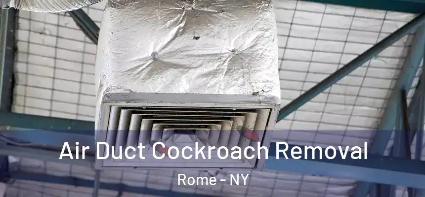  Air Duct Cockroach Removal Rome - NY
