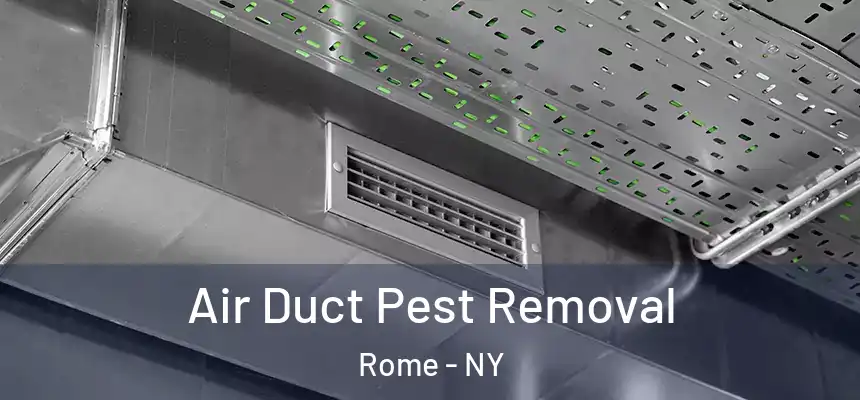  Air Duct Pest Removal Rome - NY