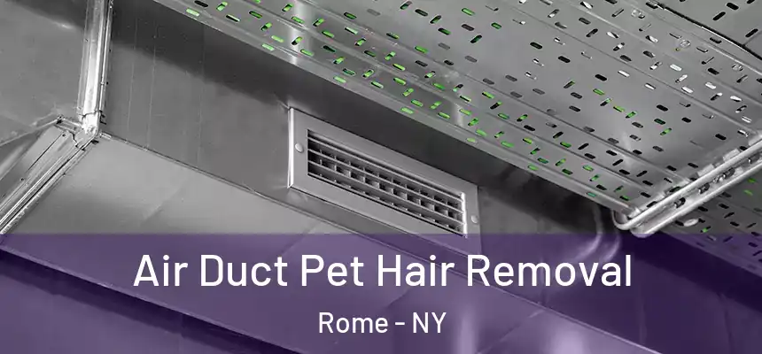  Air Duct Pet Hair Removal Rome - NY