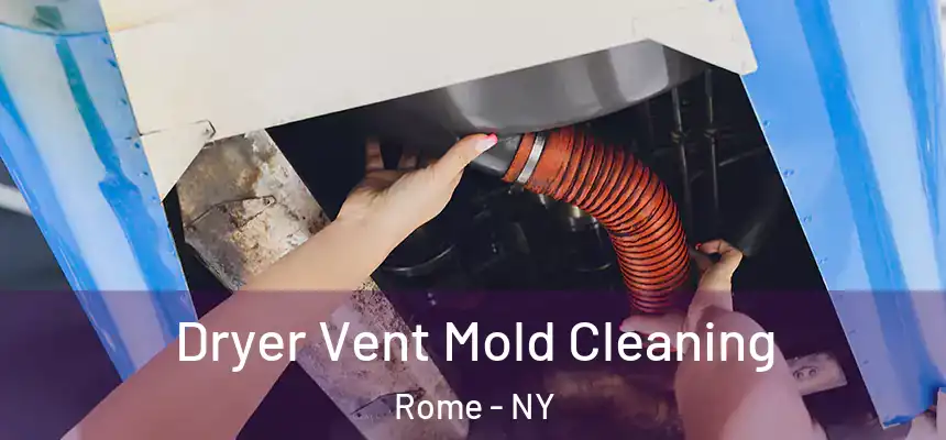  Dryer Vent Mold Cleaning Rome - NY