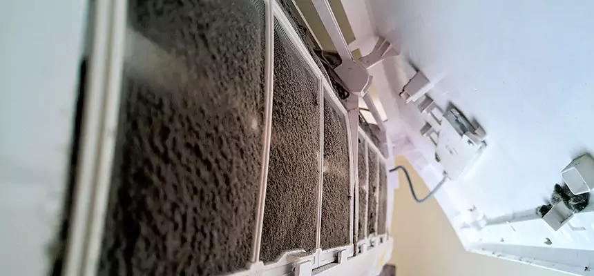 Preventive Air Duct Bacteria Removal in Rome