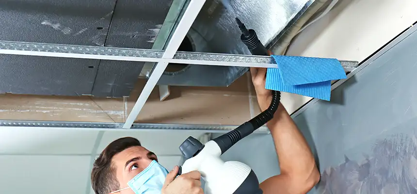Our Air Duct Rodent Removal Services in Rome, NY
