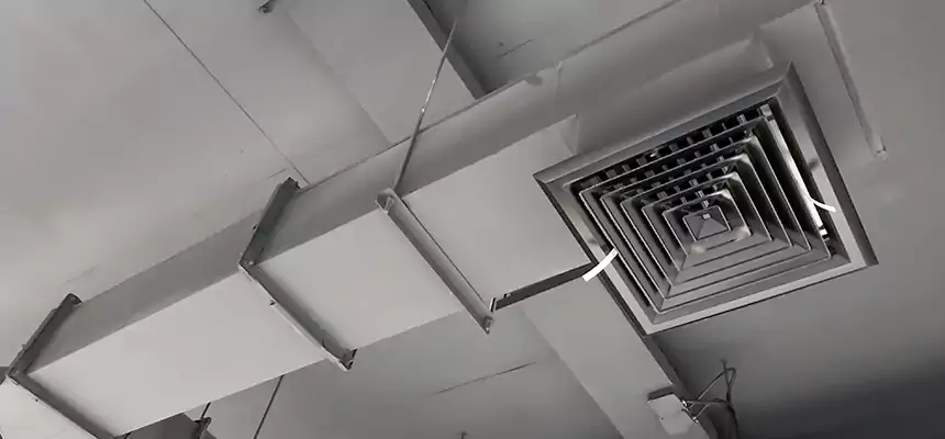 Our Rodent Droppings In Vents Services in Rome, NY