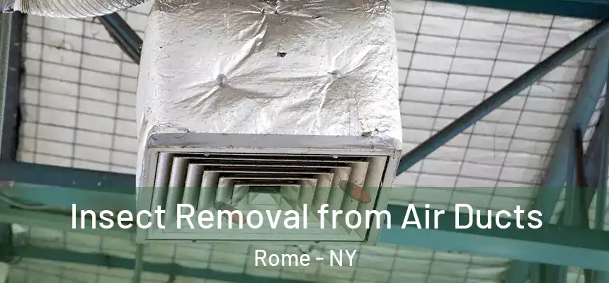  Insect Removal from Air Ducts Rome - NY