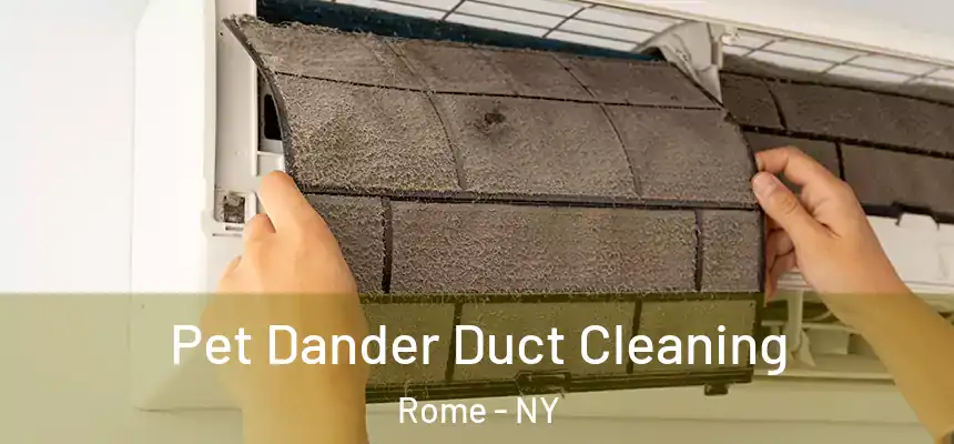  Pet Dander Duct Cleaning Rome - NY