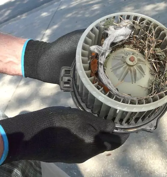 About Air Duct Mice Removal in Rome, NY