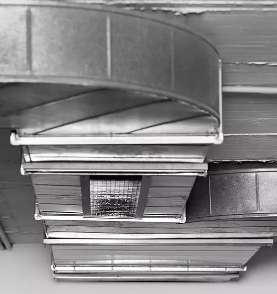 Professional Air Duct Pest Removal in Rome, NY