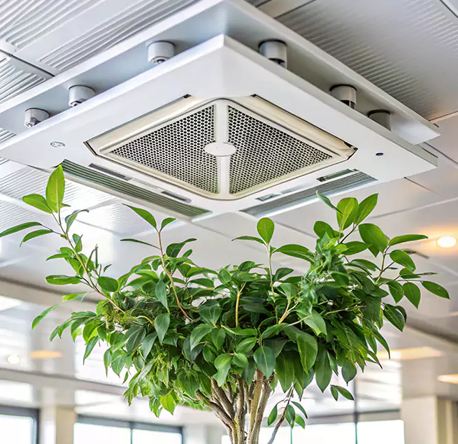 Why Homeowners & Businesses Trust Us in Rome, NY?